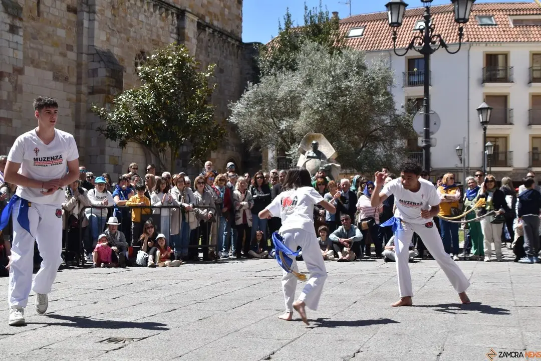 Día Internacional de la Danza, Plaza Mayor