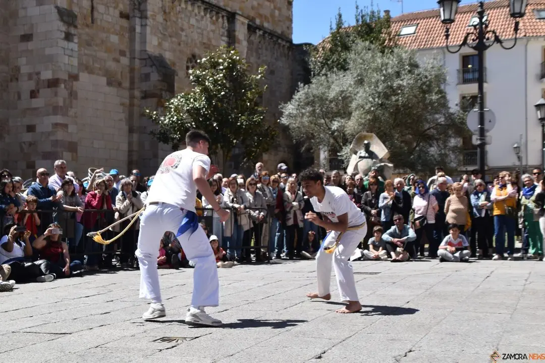 Día Internacional de la Danza, Plaza Mayor