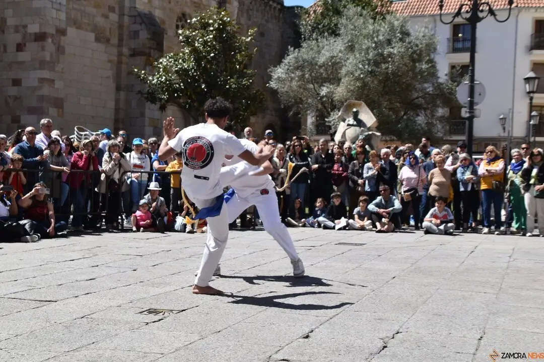 Día Internacional de la Danza, Plaza Mayor