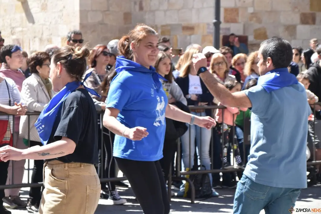 Día Internacional de la Danza, Plaza Mayor