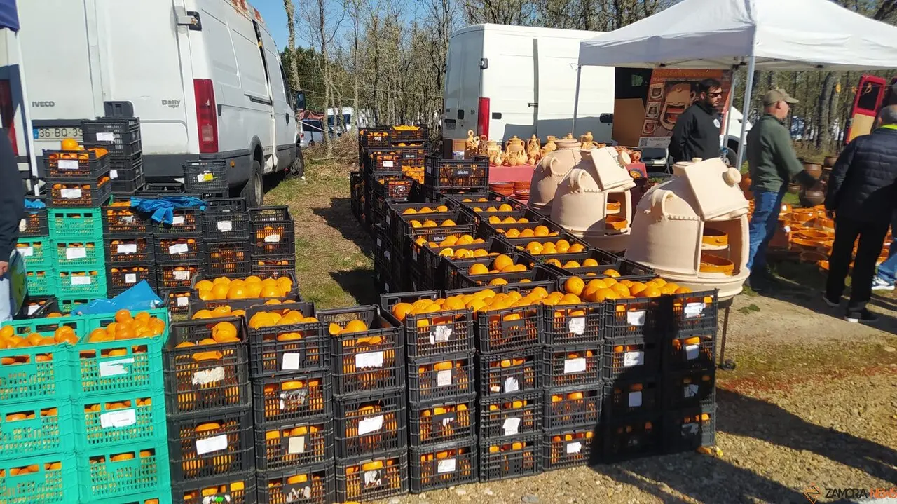 La Luz en la Raya brilla con luz propia