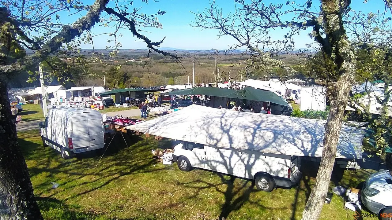 La Luz en la Raya brilla con luz propia