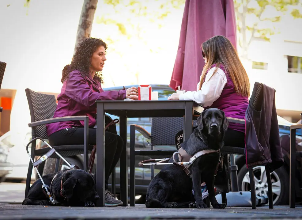 Día Internacional del Perro Guía