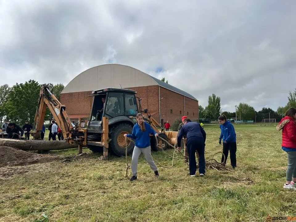 1 Mayo, Quintos Coreses
