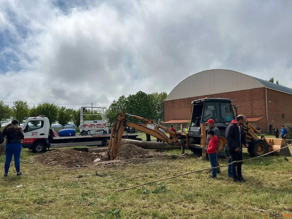 1 Mayo, Quintos Coreses