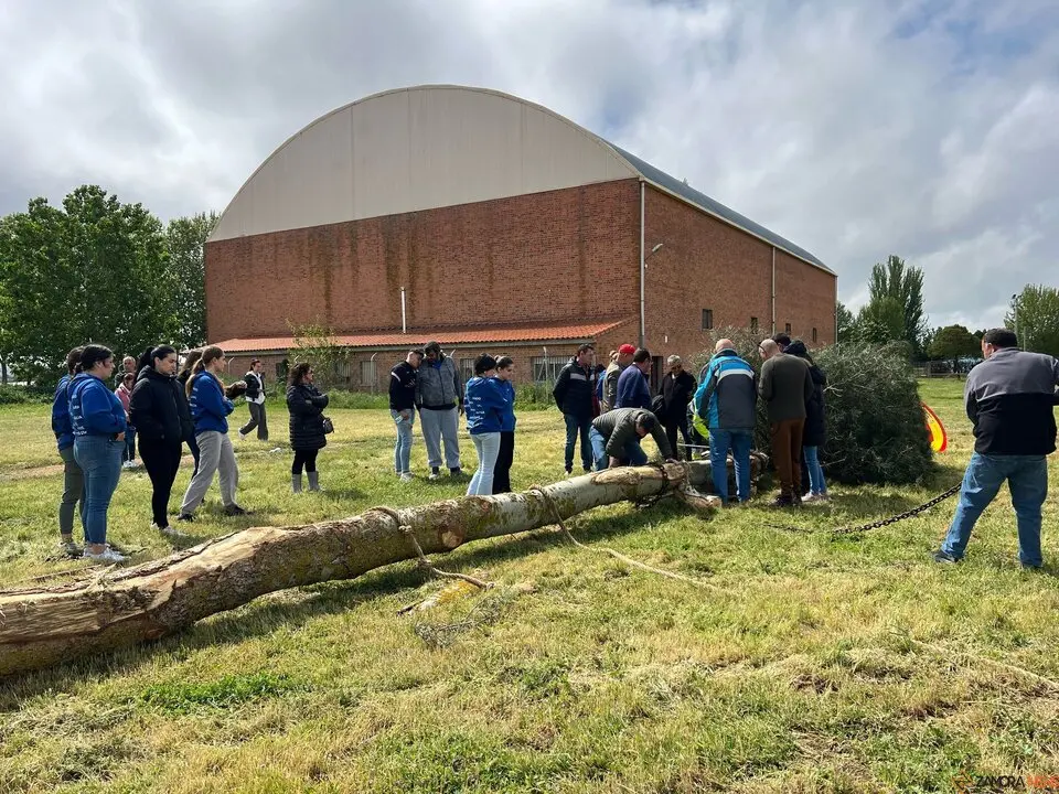 1 Mayo, Quintos Coreses