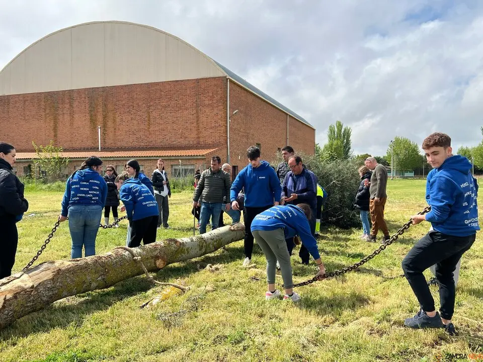 1 Mayo, Quintos Coreses