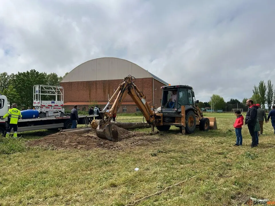 1 Mayo, Quintos Coreses