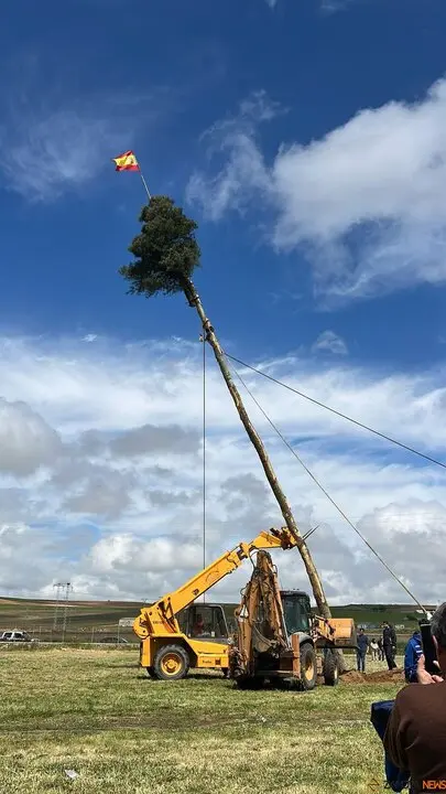 1 Mayo, Quintos Coreses