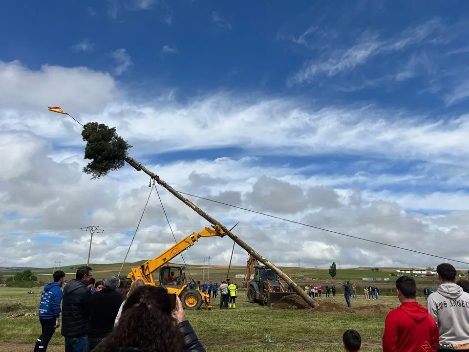 1 Mayo, Quintos Coreses