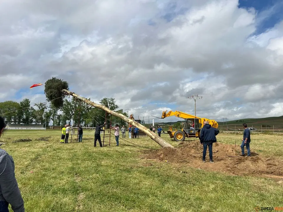 1 Mayo, Quintos Coreses