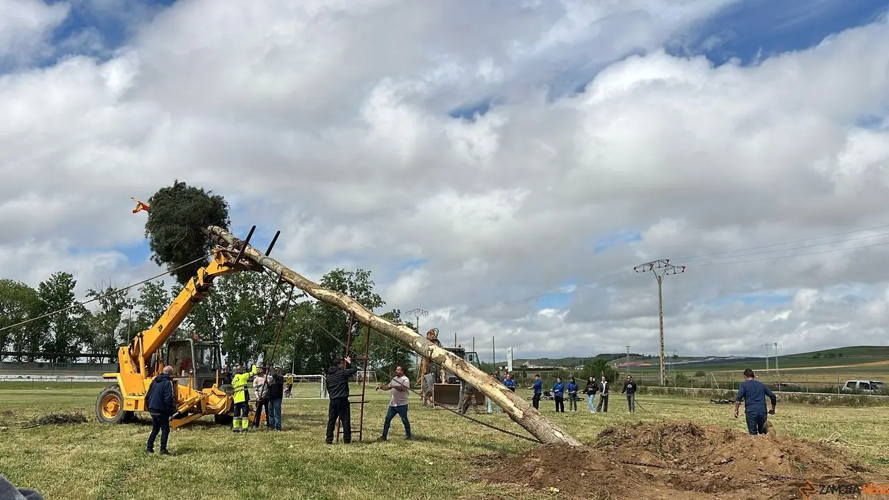 1 Mayo, Quintos Coreses