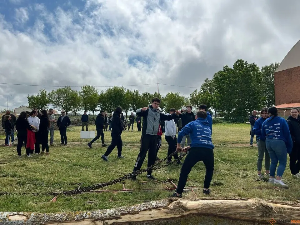 1 Mayo, Quintos Coreses