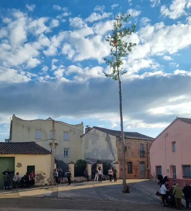 mayo de Gema del Vino