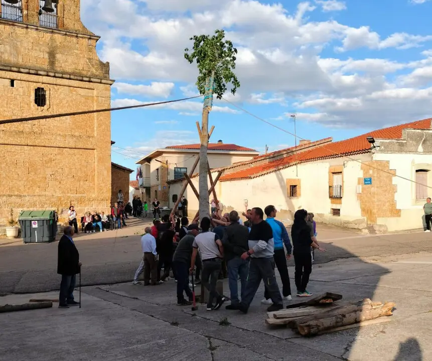 mayo de gema