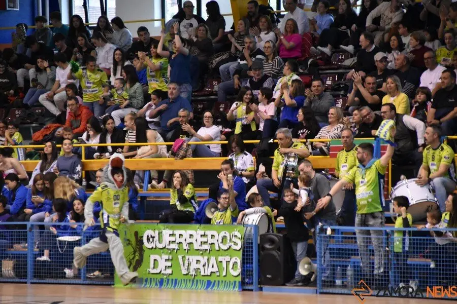 Balonnmano Zamora _7