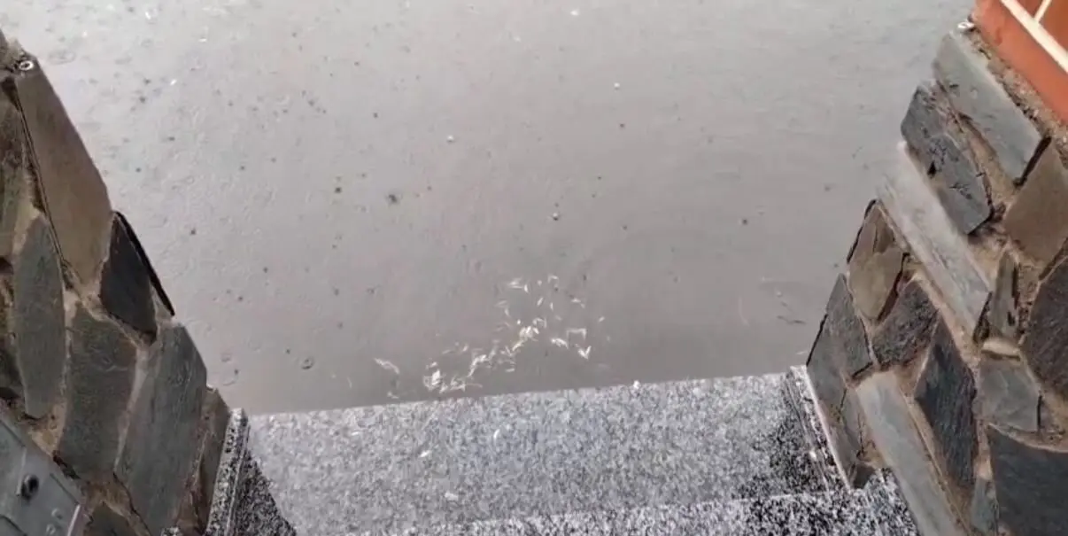la lluvia inunda varias zonas de Zamora (2)