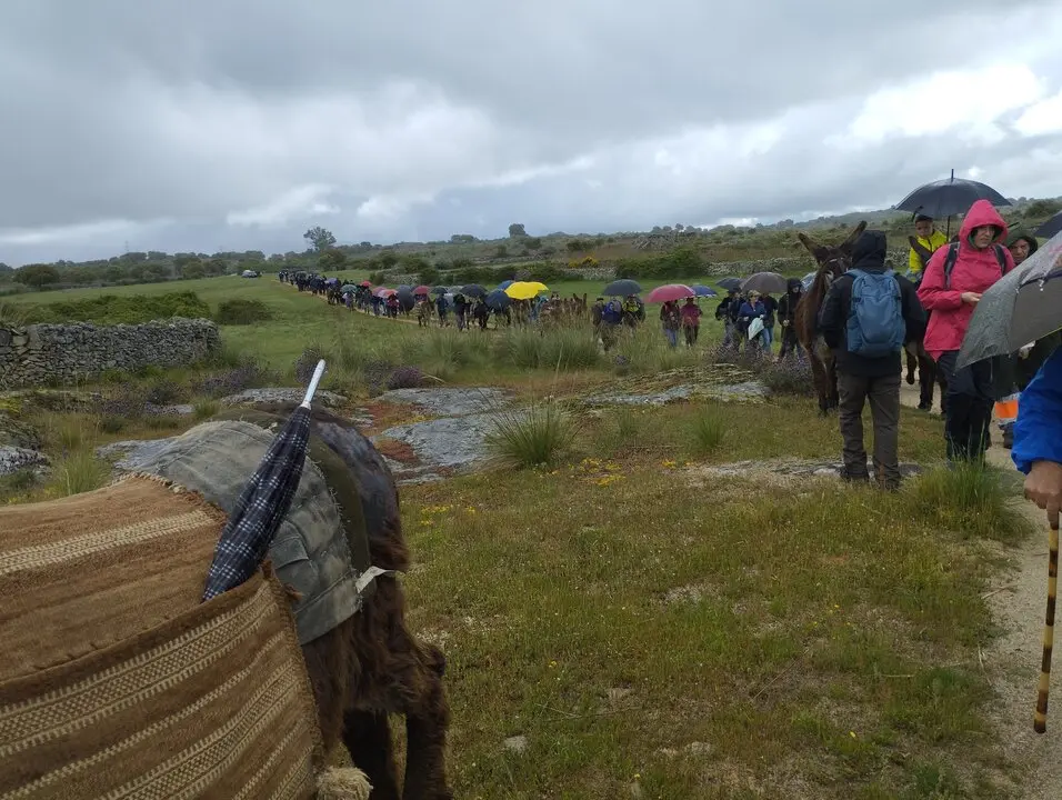 Ruta Burros