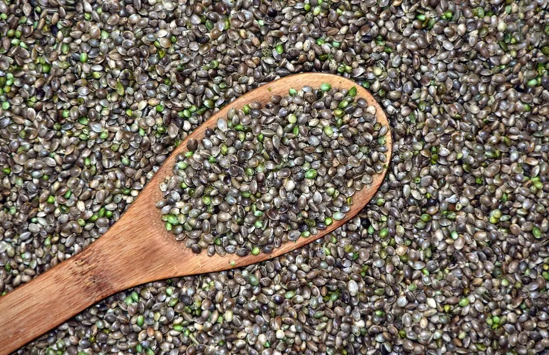hemp-2258608_1280