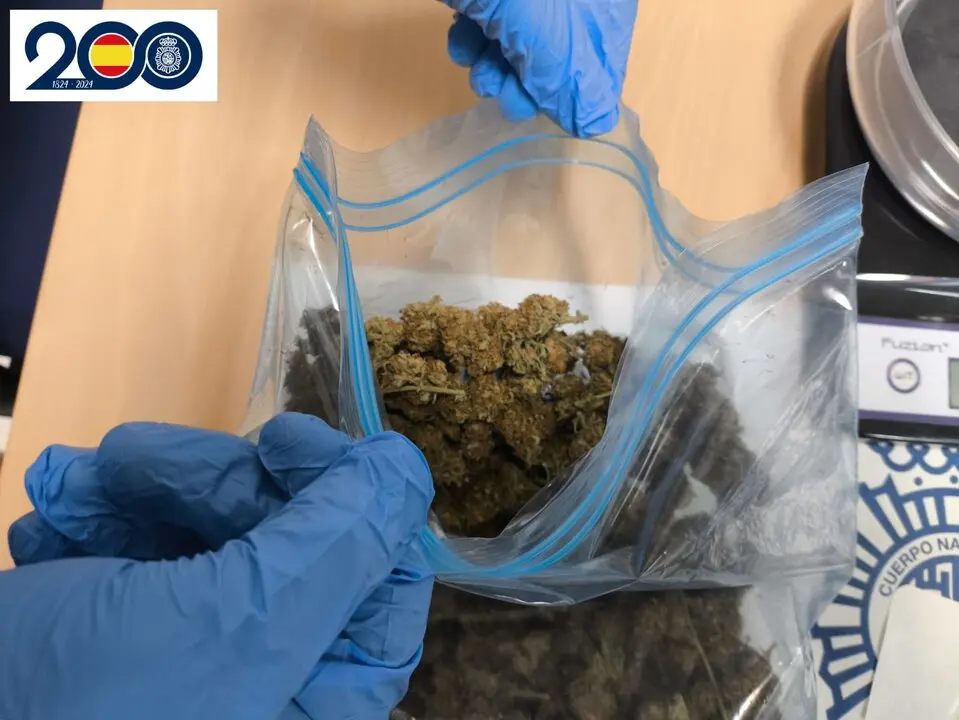 Detenido en Zamora un joven por tráfico de marihuana