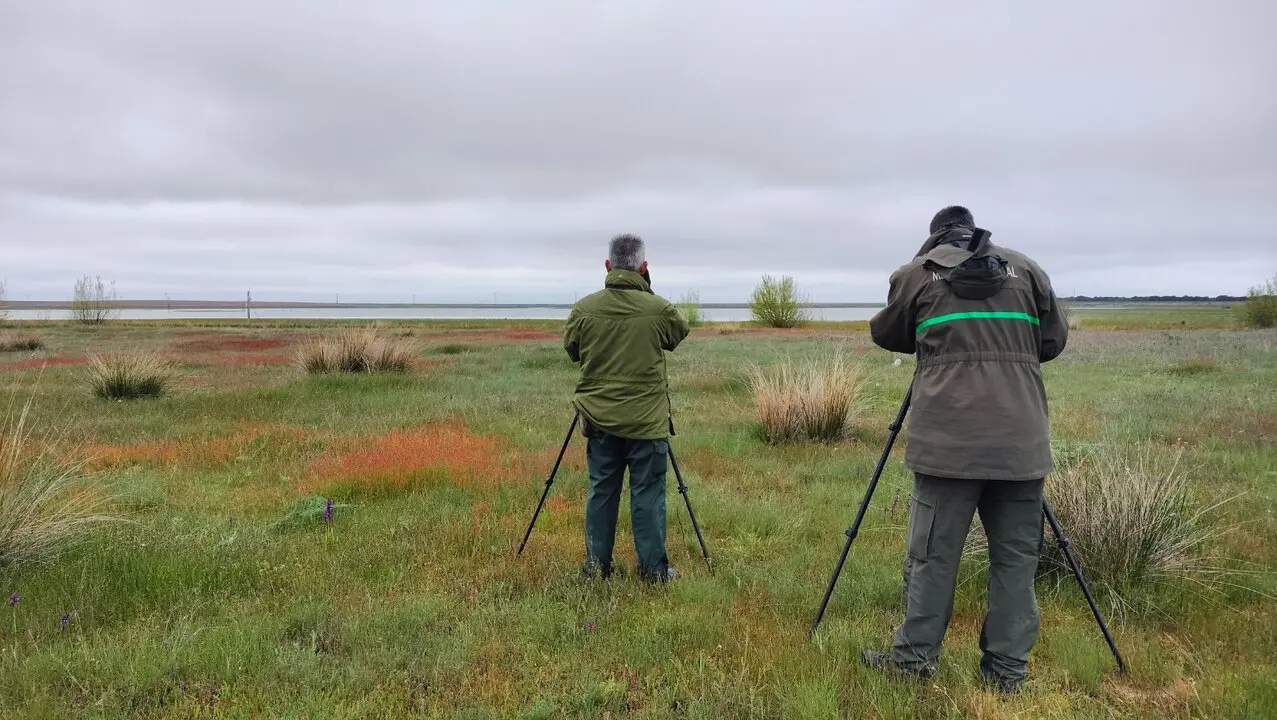 Día Mundial de las Aves Migratorias