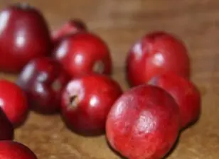 Arándano Rojo. Foto de Archivo