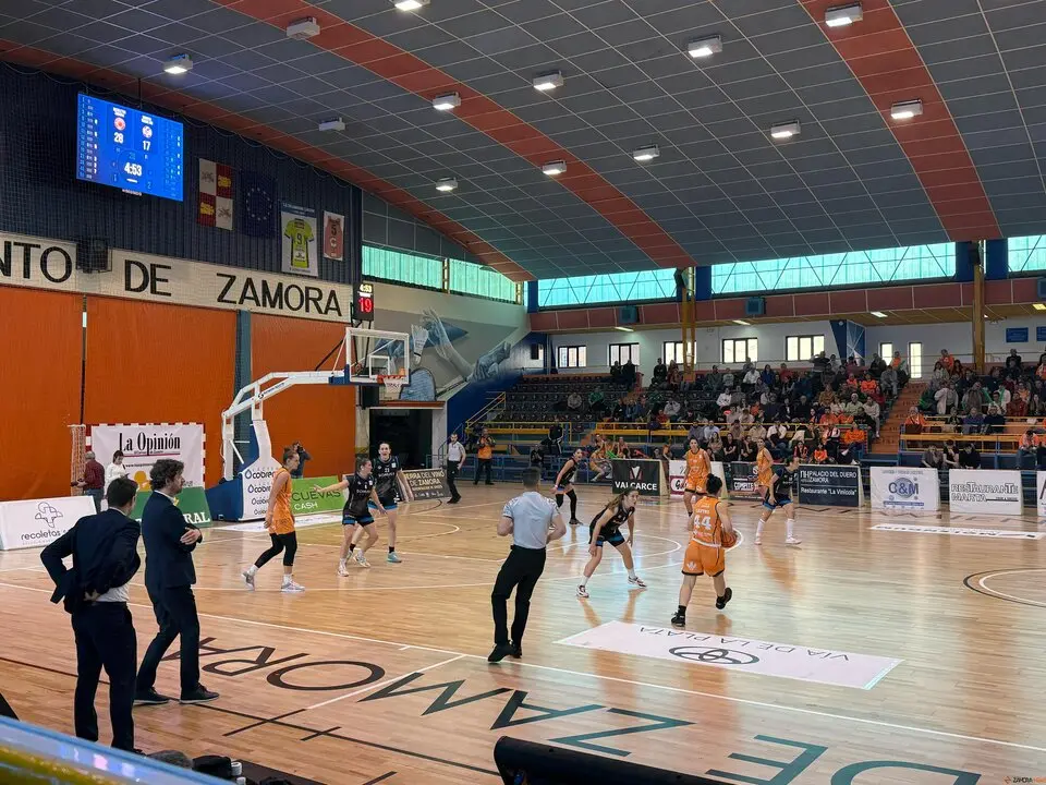 Zamarat vs Domusa