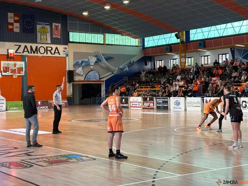 Zamarat vs Domusa