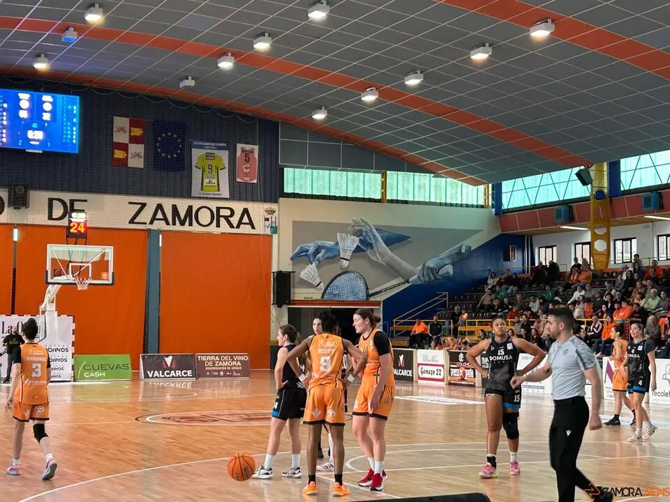 Zamarat vs Domusa