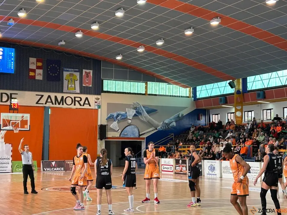 Zamarat vs Domusa
