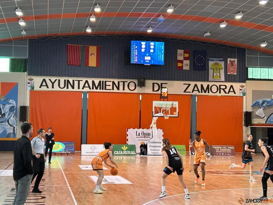 Zamarat vs Domusa