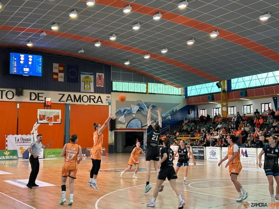 Zamarat vs Domusa