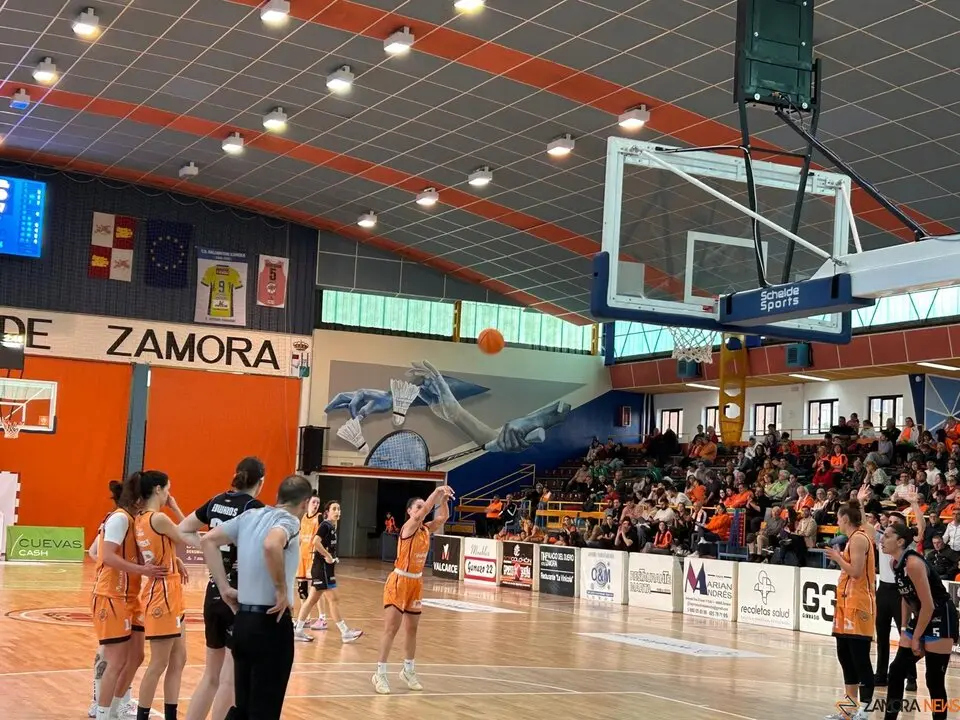 Zamarat vs Domusa