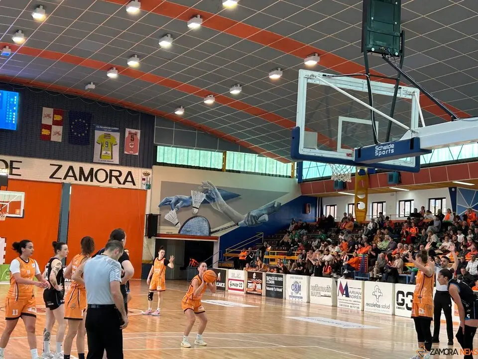 Zamarat vs Domusa