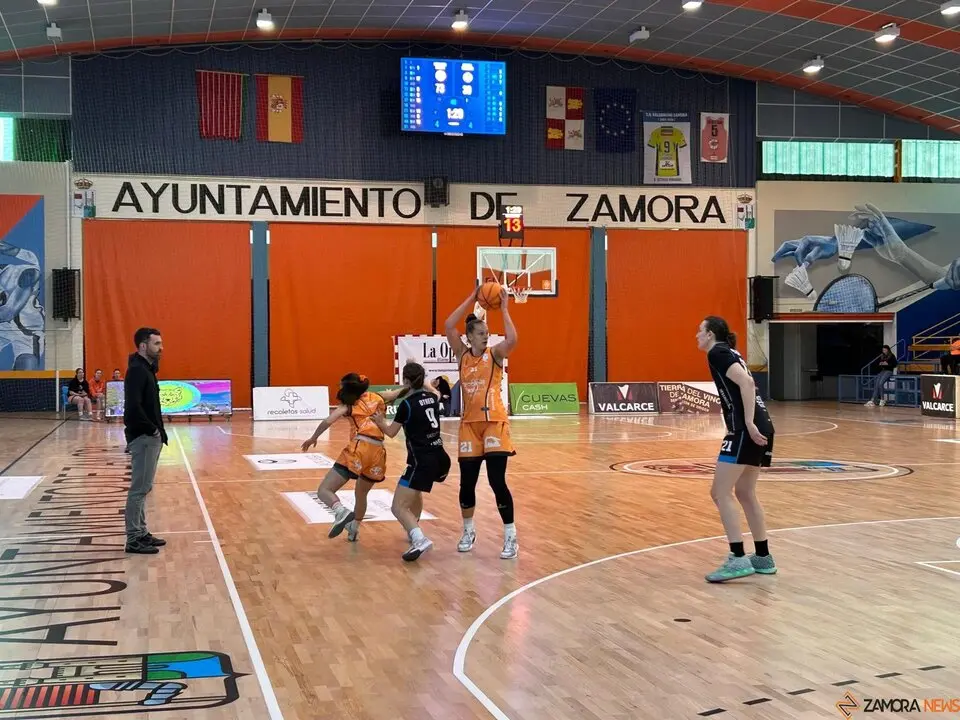 Zamarat vs Domusa