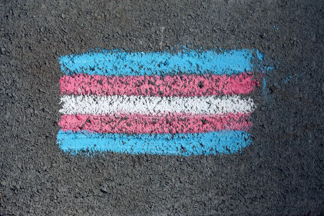 Bandera Trans