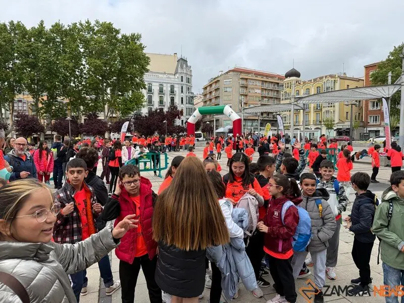 Día de la Educación Física en Zamora 