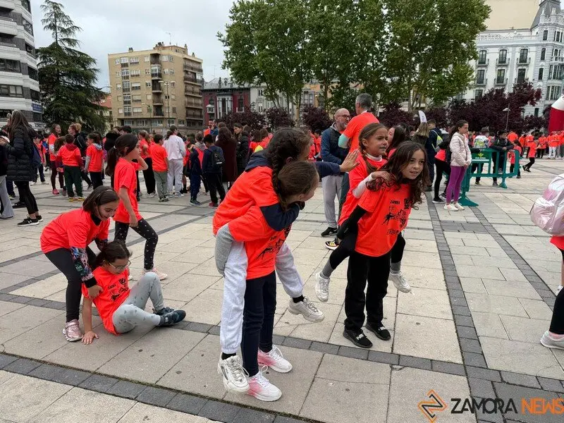 Día de la Educación Física en Zamora _2