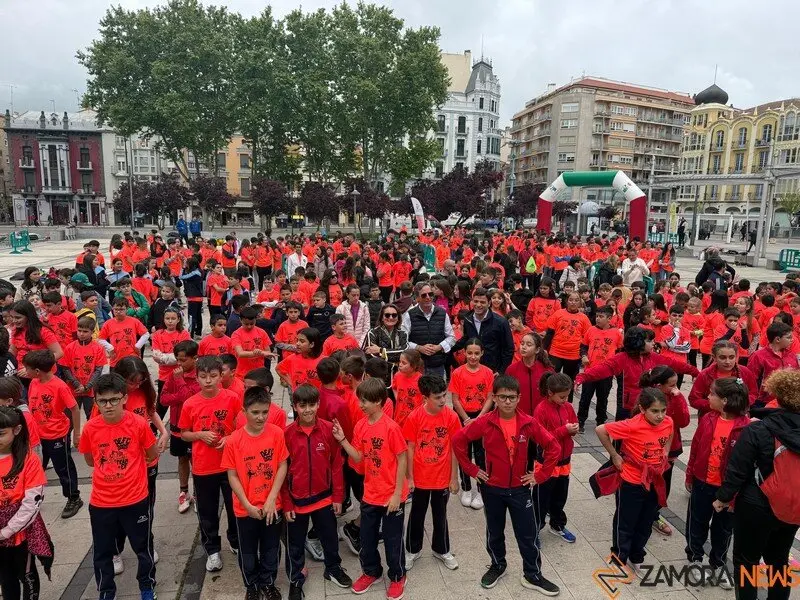 Día de la Educación Física en Zamora _4