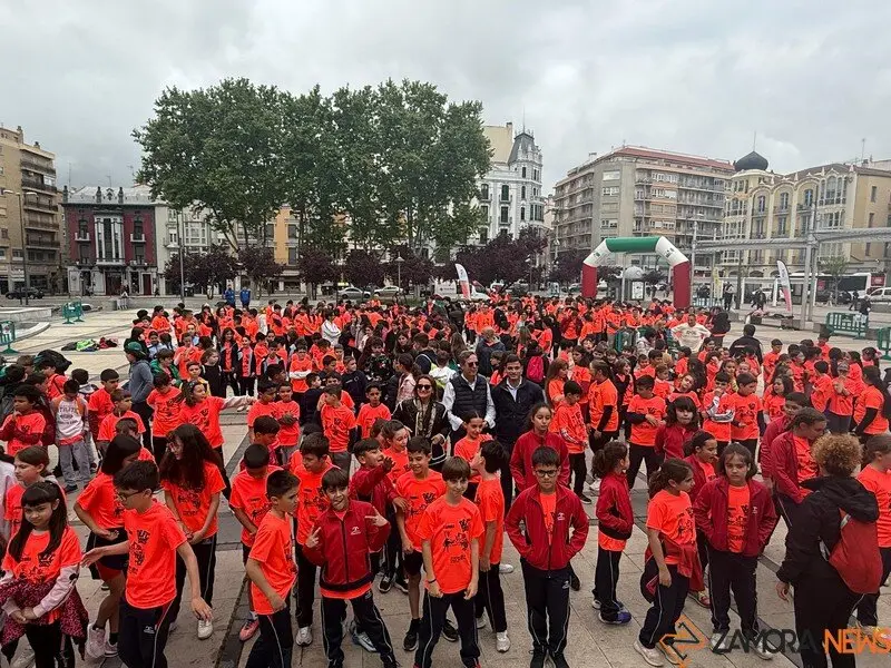 Día de la Educación Física en Zamora _6