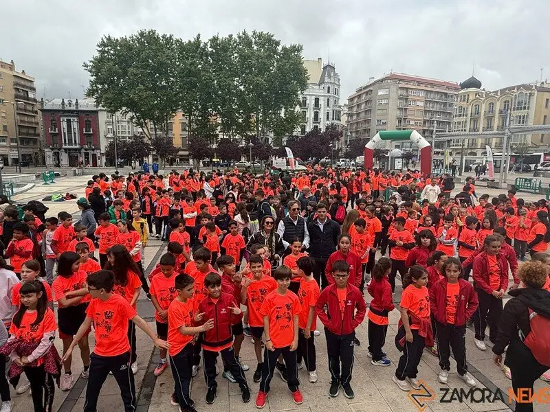 Día de la Educación Física en Zamora _7