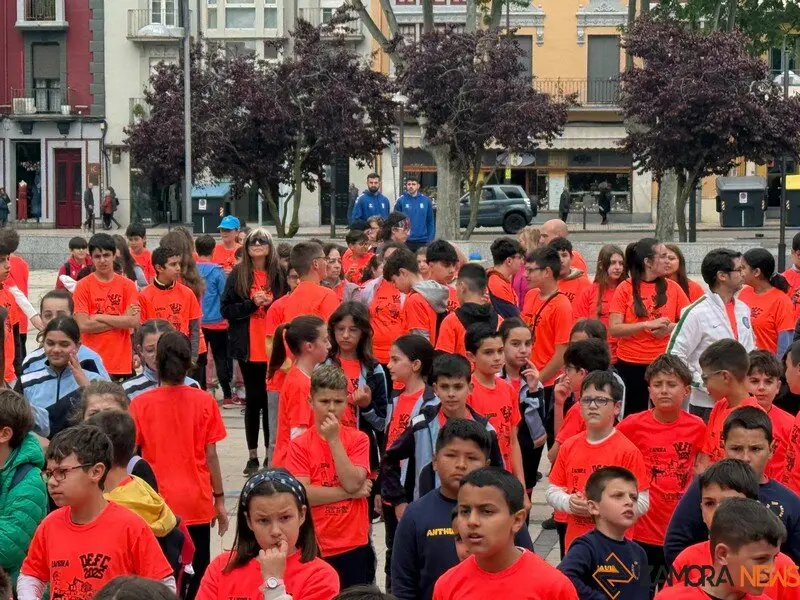 Día de la Educación Física en Zamora _8