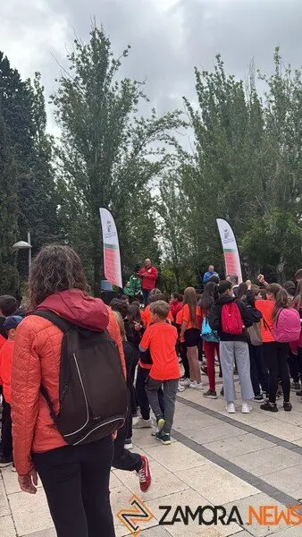 Día de la Educación Física en Zamora _11