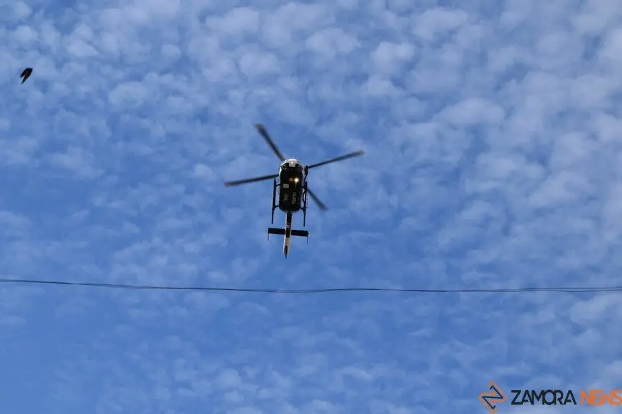 181 aniversario Guardia Civil, Toro_27