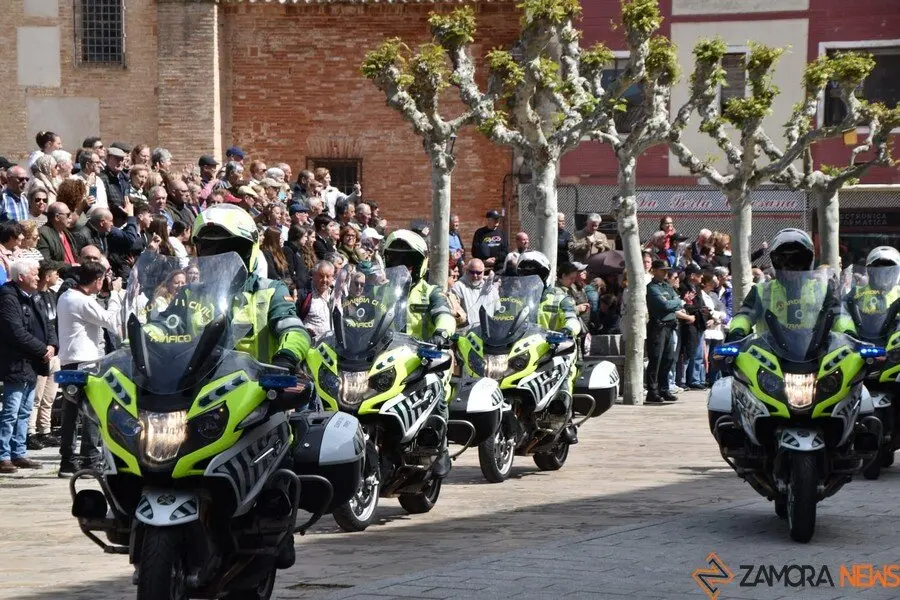 181 aniversario Guardia Civil, Toro_45