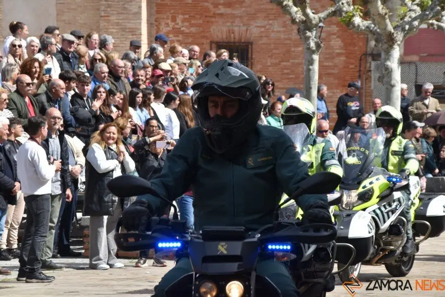 181 aniversario Guardia Civil, Toro_47