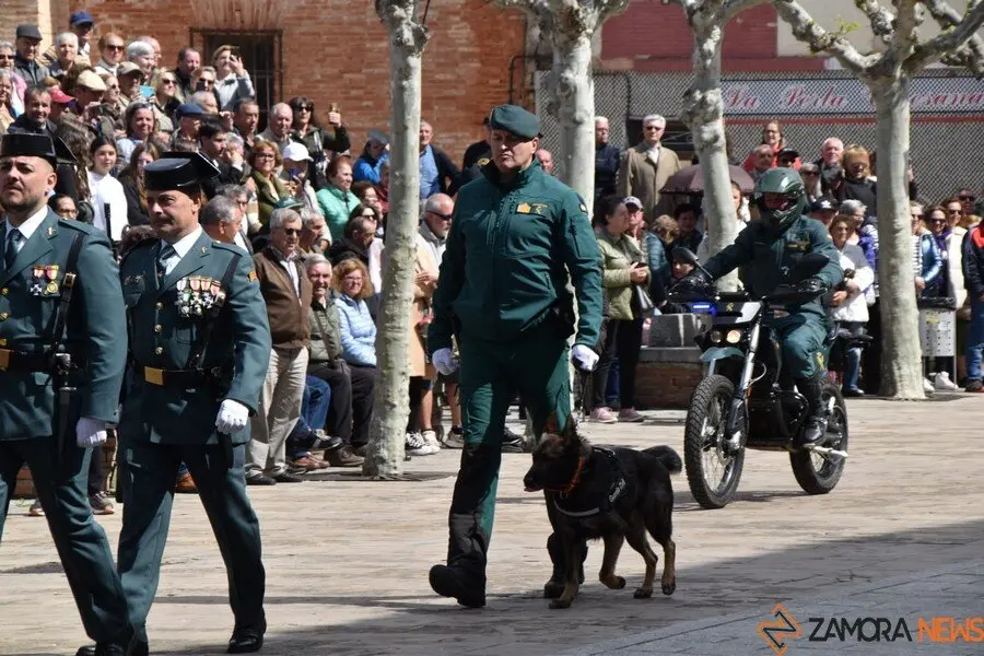 181 aniversario Guardia Civil, Toro_49