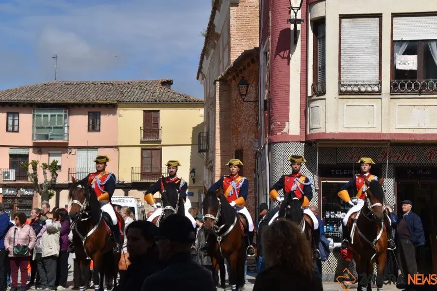 181 aniversario Guardia Civil, Toro_69