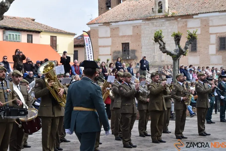 181 aniversario Guardia Civil, Toro_91