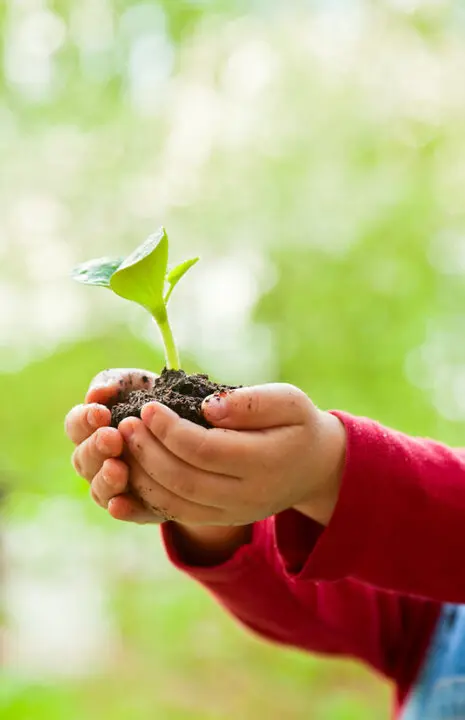 Salud Ambiental en la Escuela